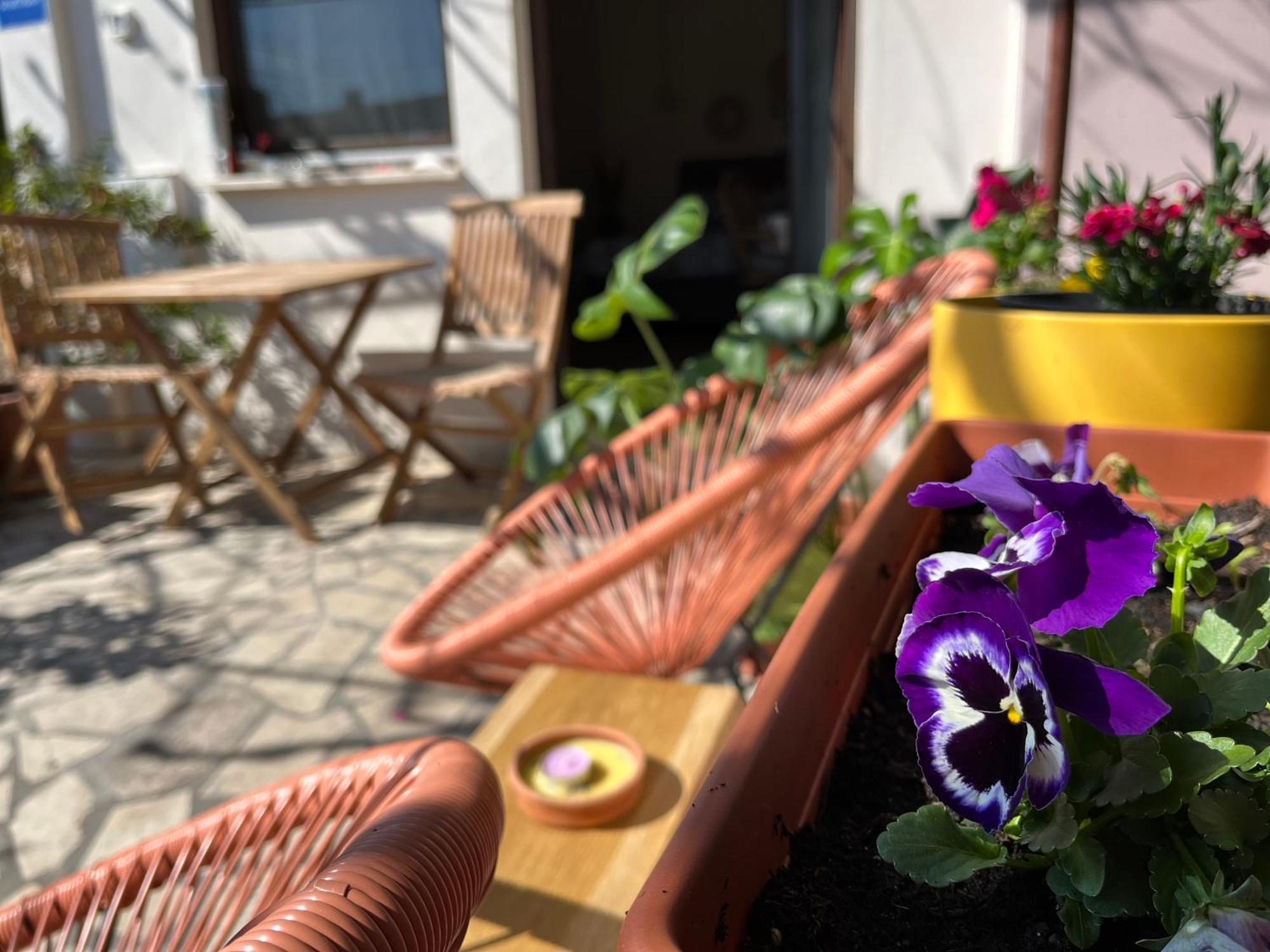 Veronika'S House بولا المظهر الخارجي الصورة