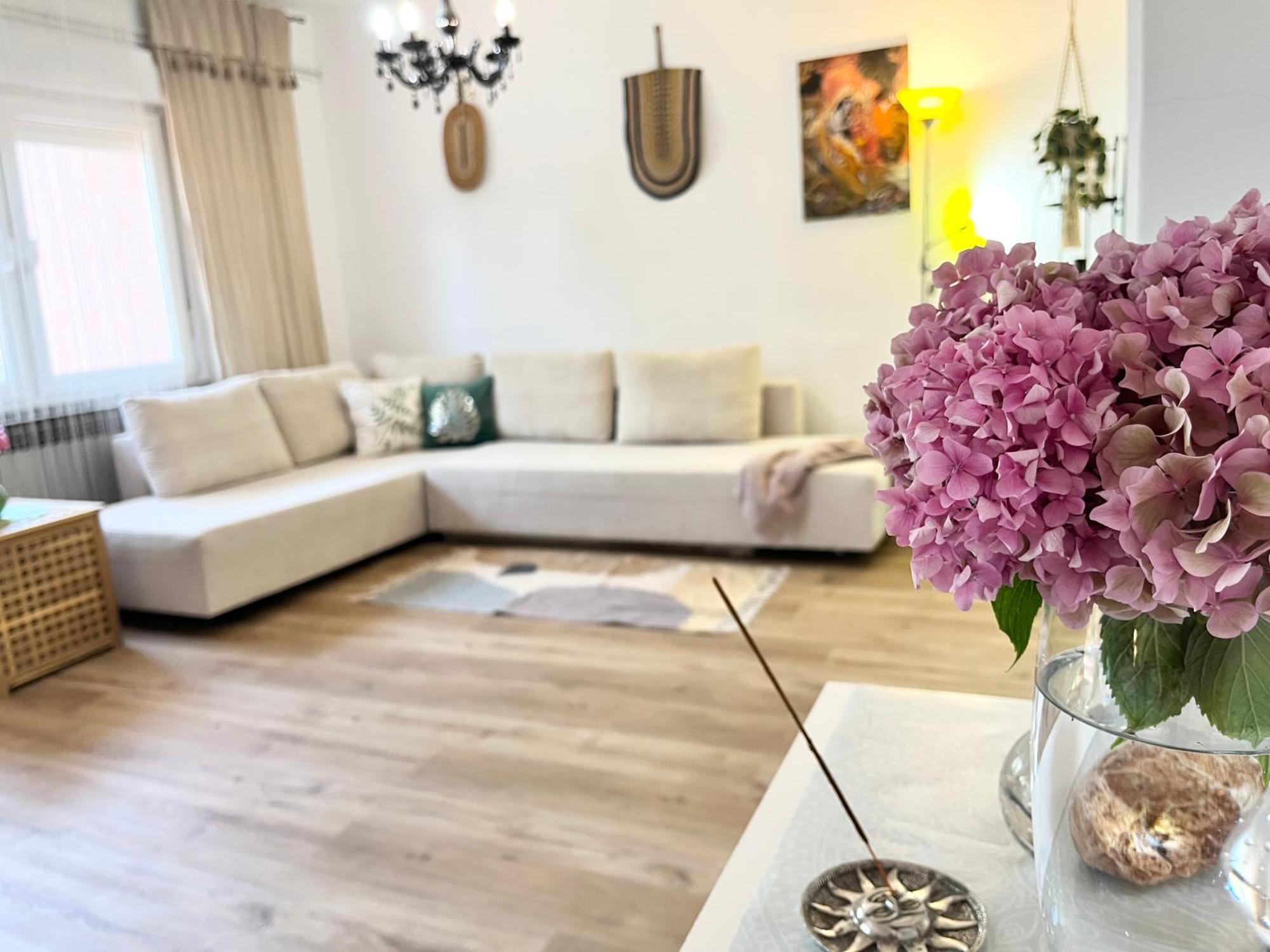 Veronika'S House بولا المظهر الخارجي الصورة