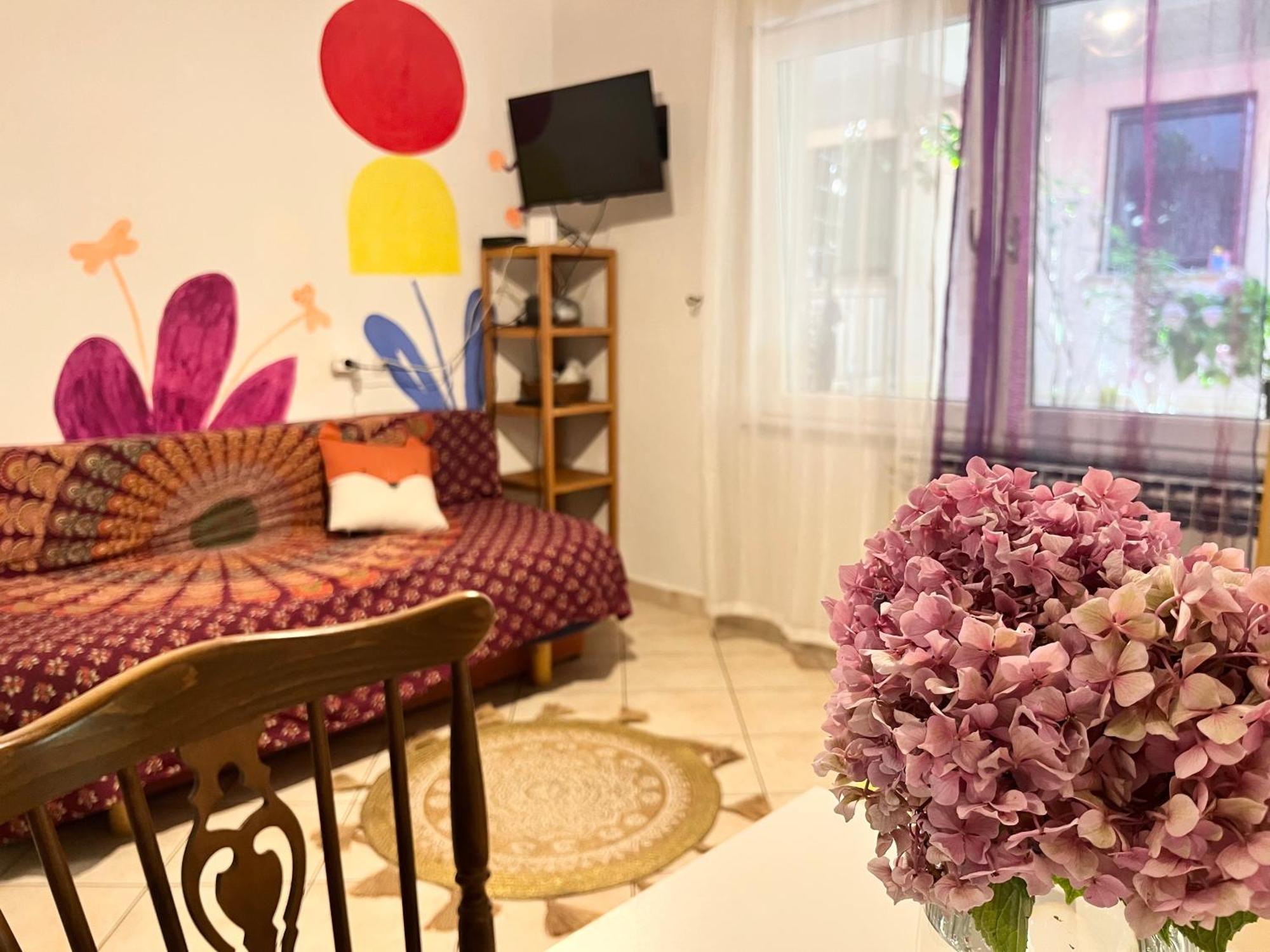 Veronika'S House بولا المظهر الخارجي الصورة