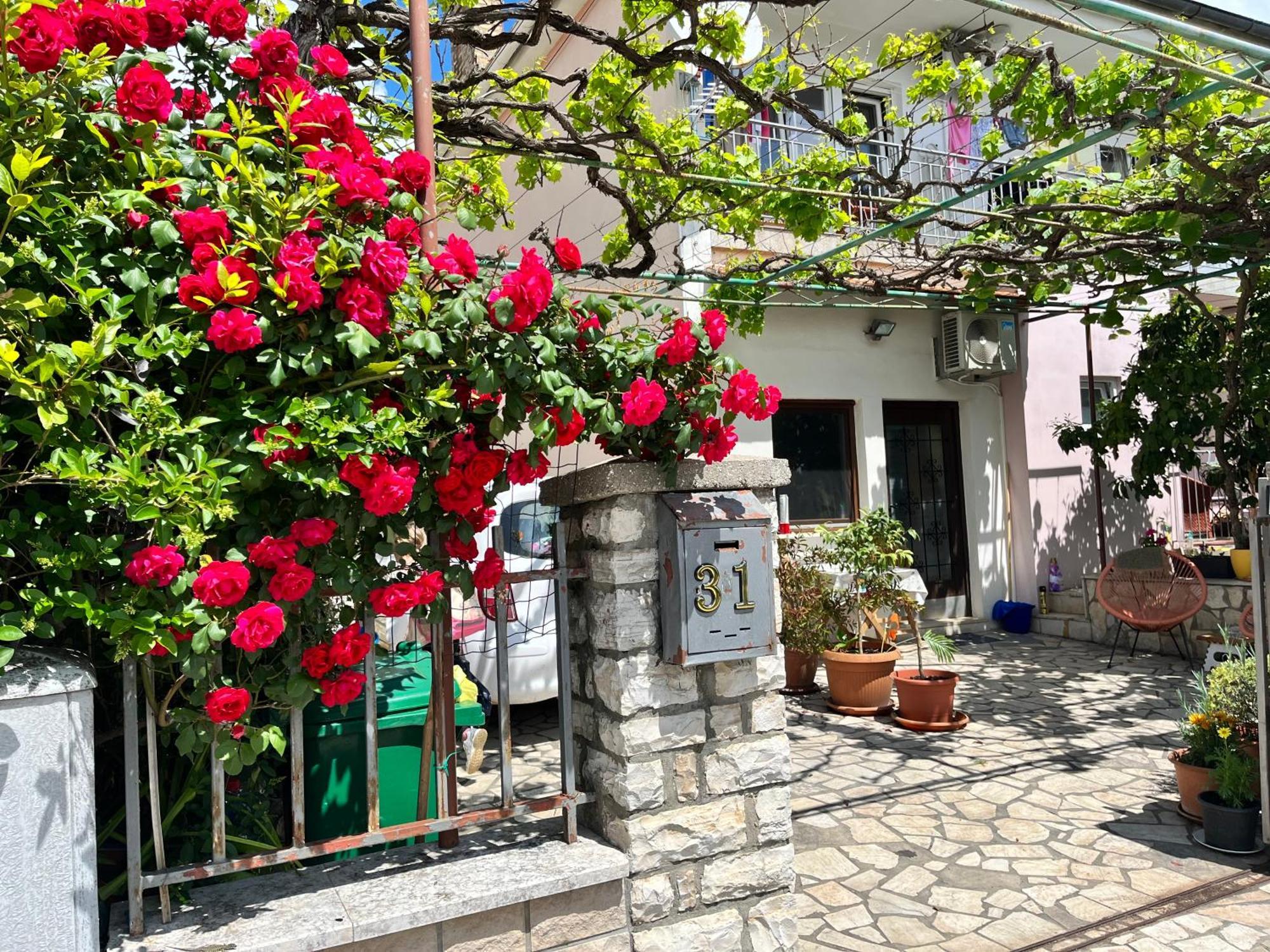 Veronika'S House بولا المظهر الخارجي الصورة